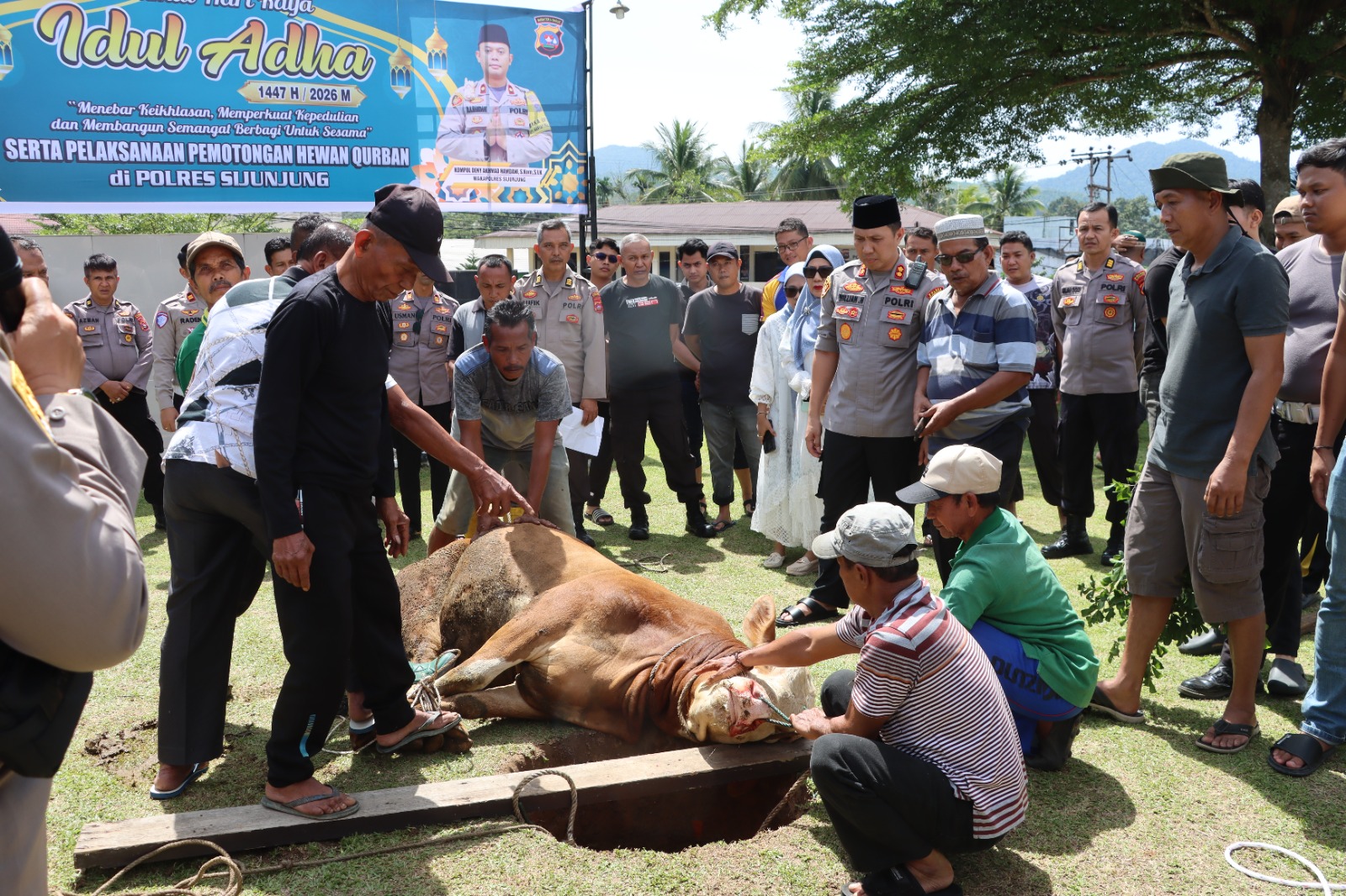 Kapolres AKBP Willian Harbensyah S.I.K M.H menyaksikan penyembelihan hewan kurban di Mapolres Sijunjung.